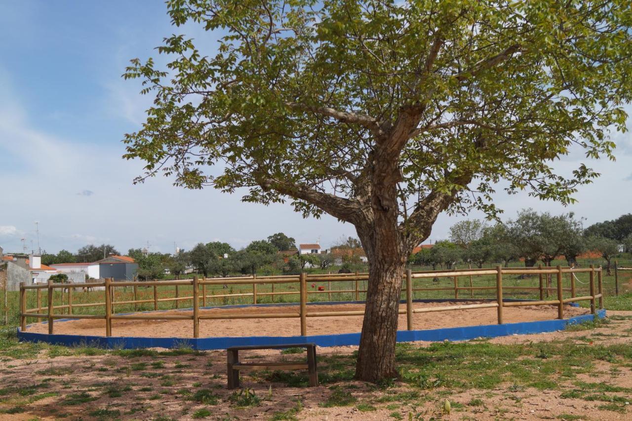 Tapada Do Chafariz Bed & Breakfast Estremoz Luaran gambar